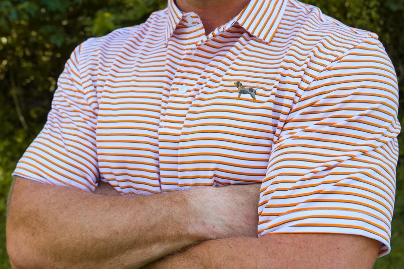 Bluetick Premier Stripe Polo