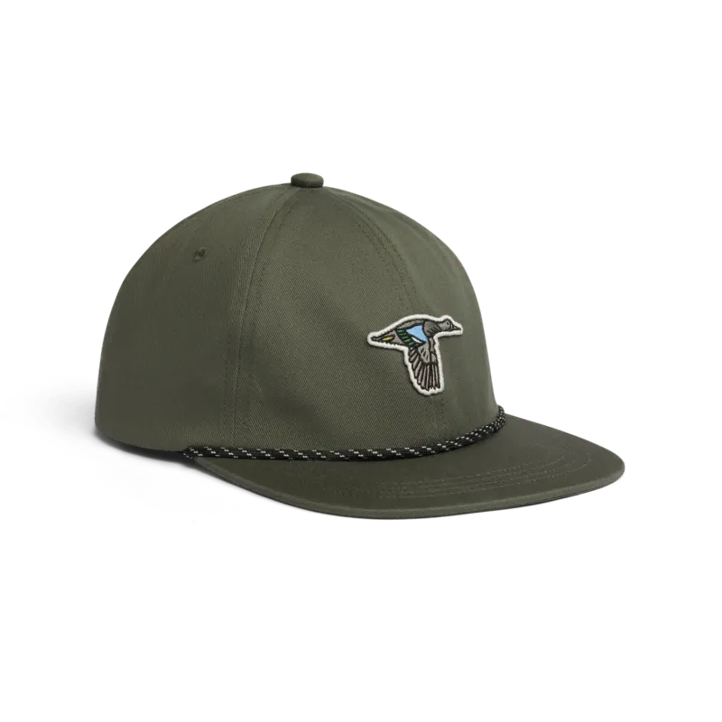 Species Unstructured Snapback