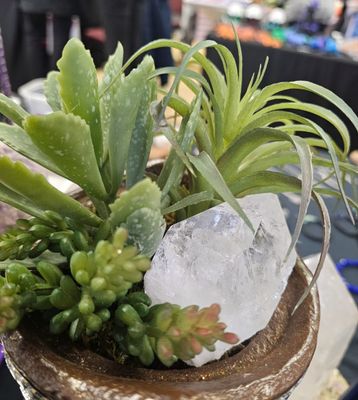 Plantes et cristaux