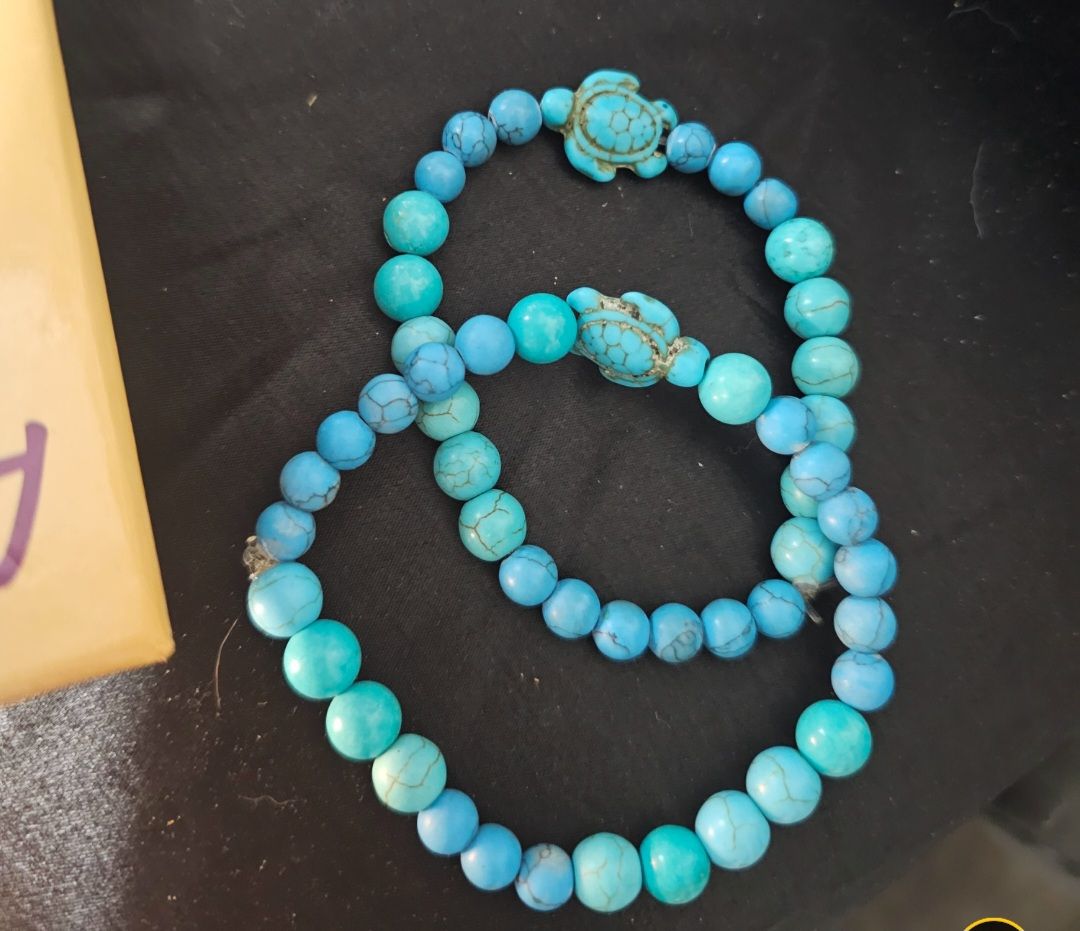 Turquoise tortue