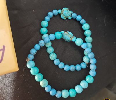 Turquoise tortue