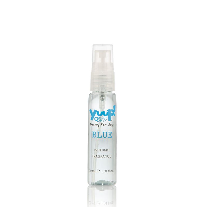 Blue Parfum 30ML
