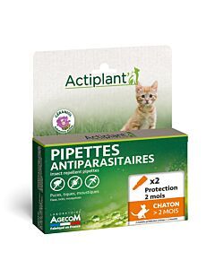 Actiplant kitten +2 maanden - 2 pipetten