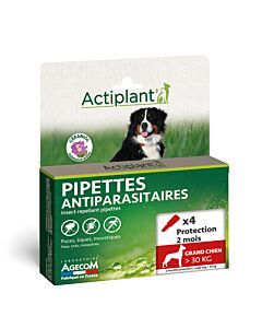 Actiplant hond +30 kg - 4 pipetten