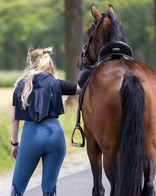 &quot;Alles voor het verzorgen en rijden van paarden, pony&#39;s en shetlanders – van borstels en halsters tot zadels en stalamaterialen&quot;