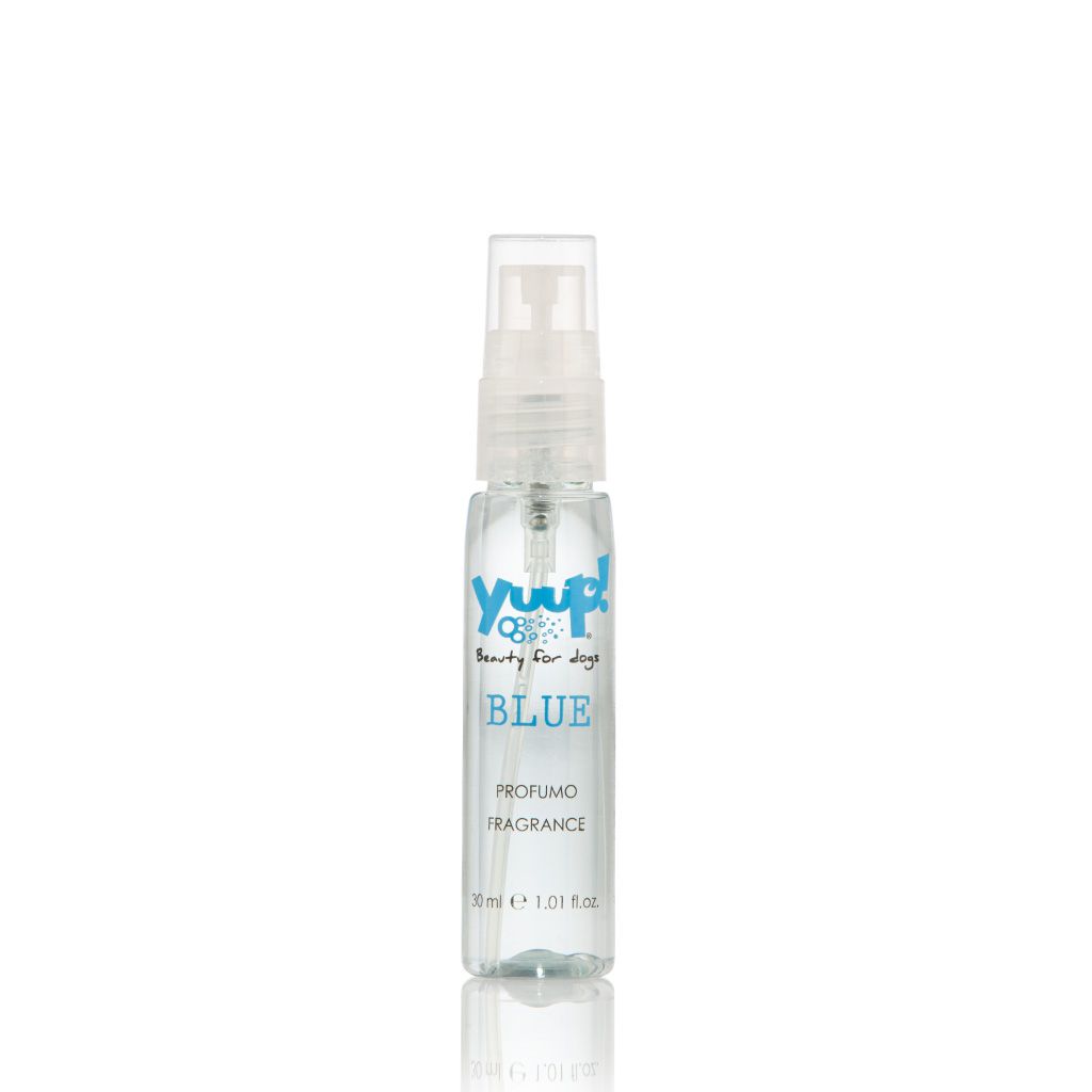 Blue Parfum 30ML