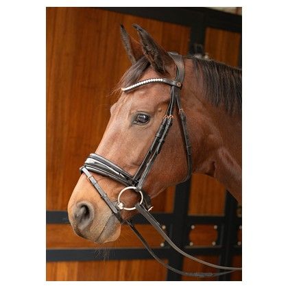 Harry's Horse Hoofdstel Rosegold Lacque II