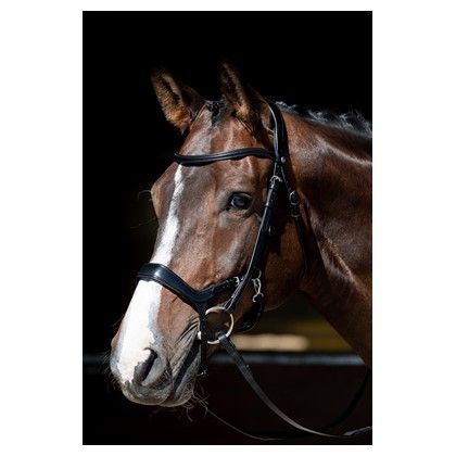 Harry's Horse Hoofdstel Anatomic Release Zwart