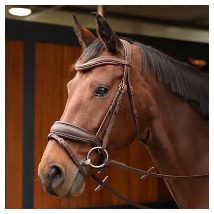 Harry's Horse Hoofdstel Soft Bombastic Bruin