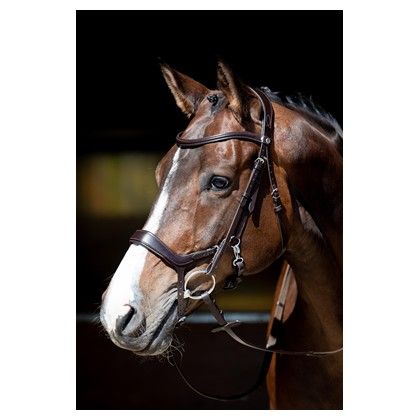 Harry's Horse Hoofdstel Anatomic Release Bruin