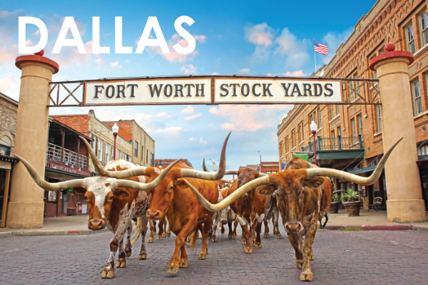 Cotton Bowl Packages