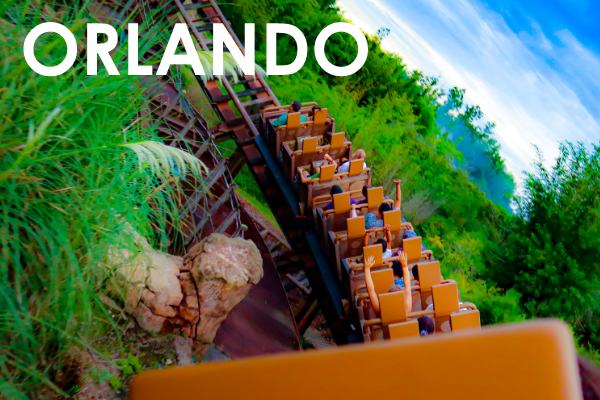 Cheez-It Bowl Packages