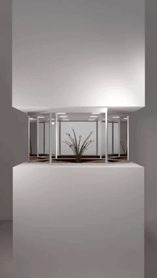 SERENDIPITY BLOOM - MERGE x SUPERSUN