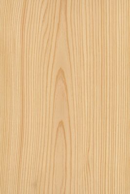 Pine Collection