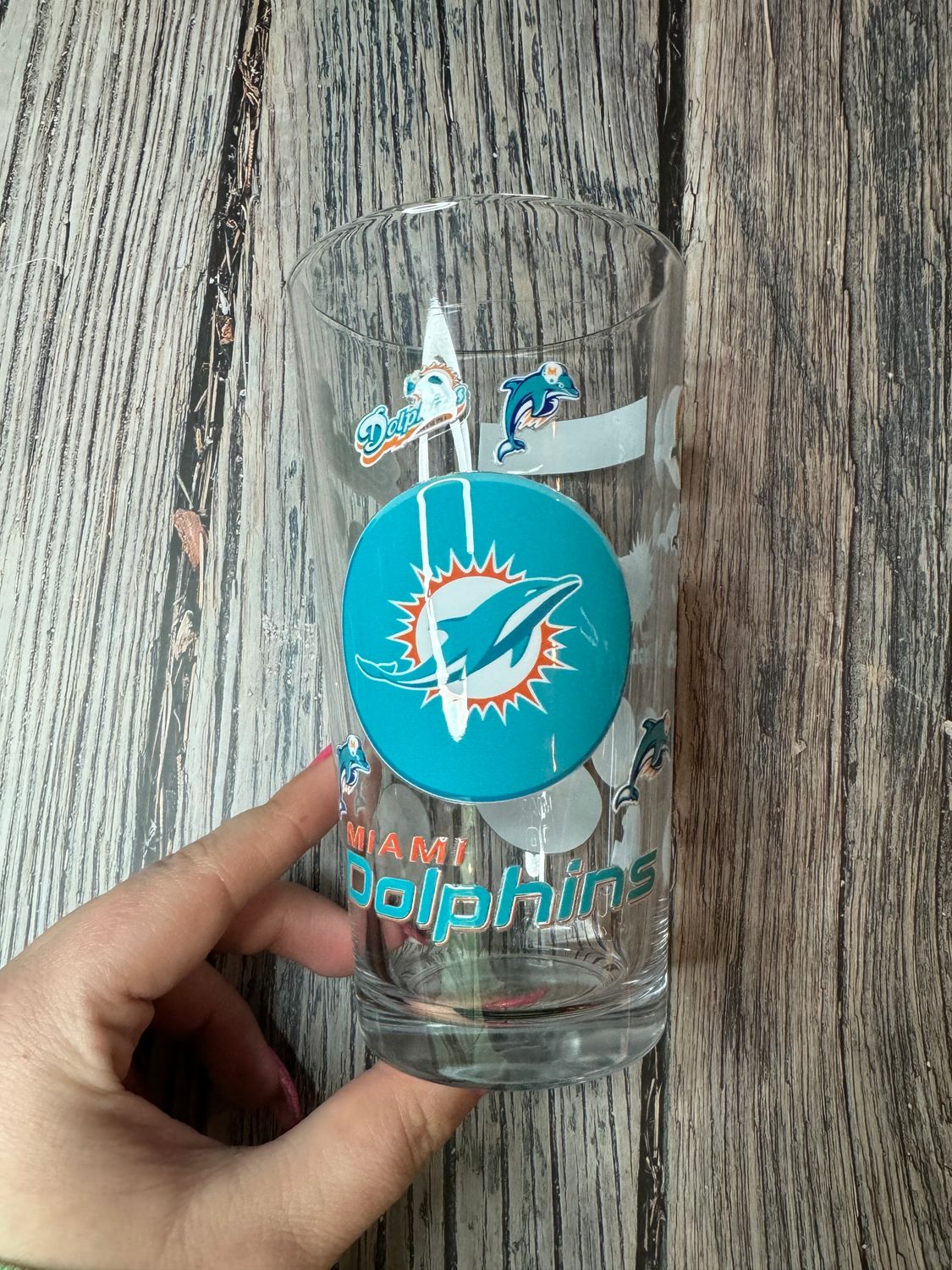 Dolphins Pint Glass