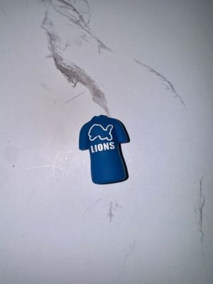 Lions jersey focal