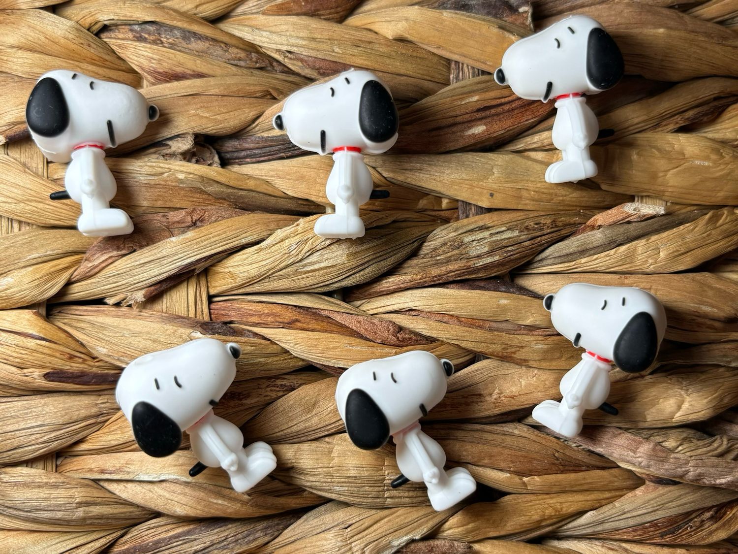 Snoopy Focal 3d