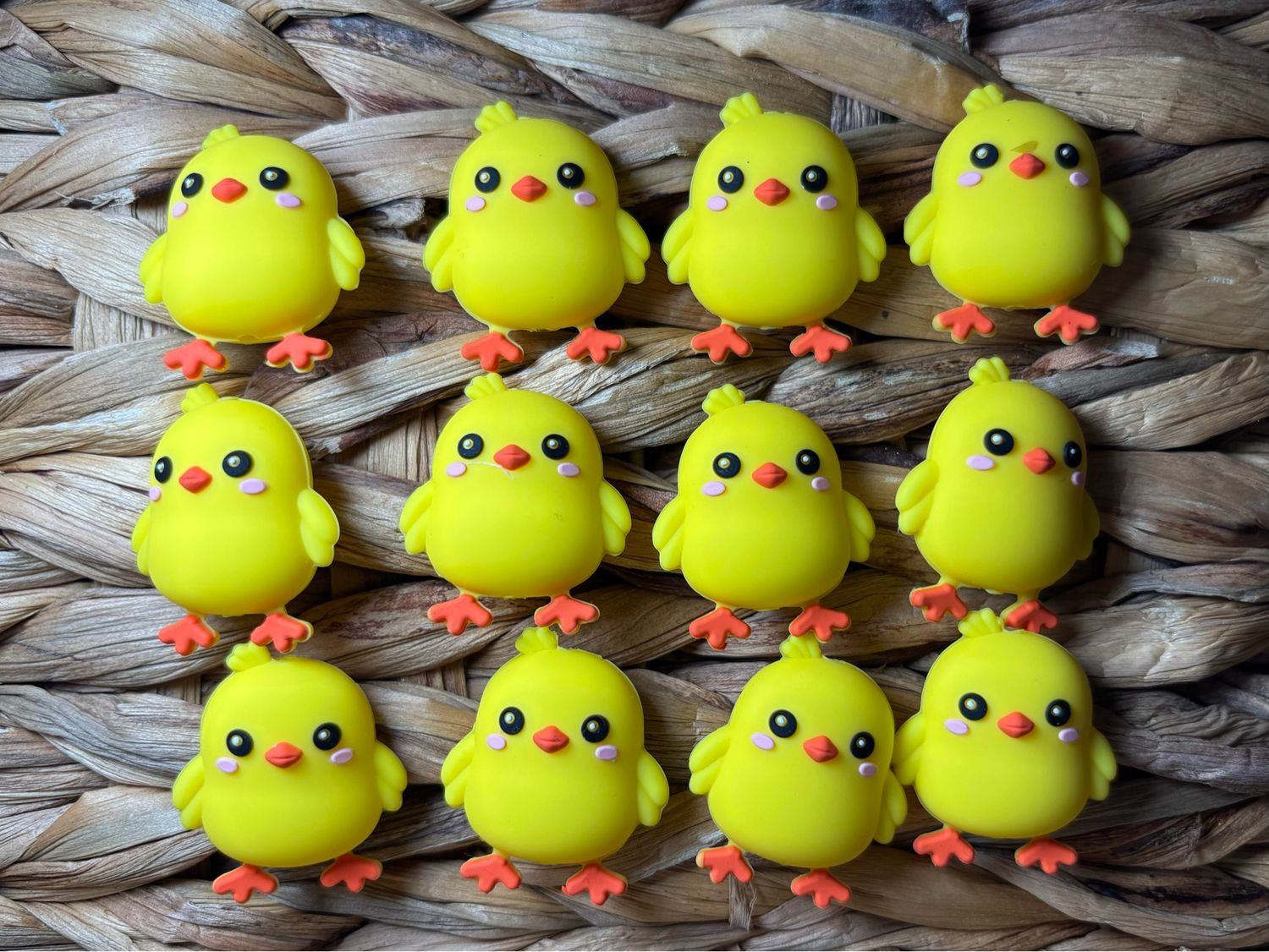 Chick Focal 3d