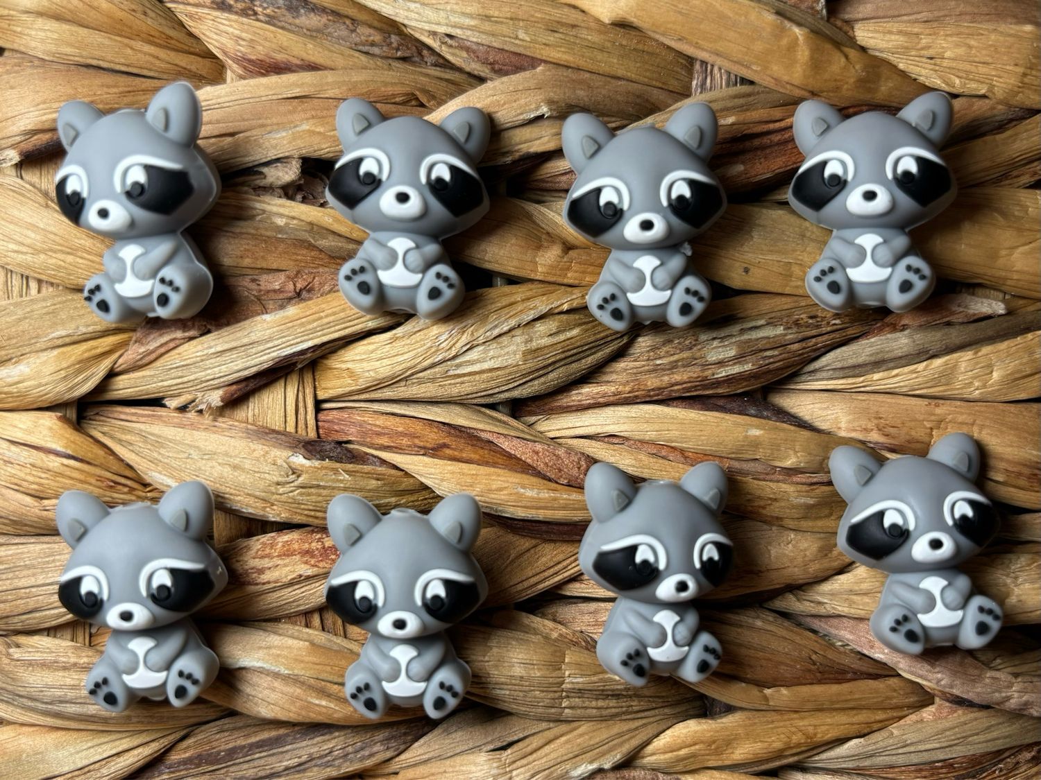 Racoon Focal 3d