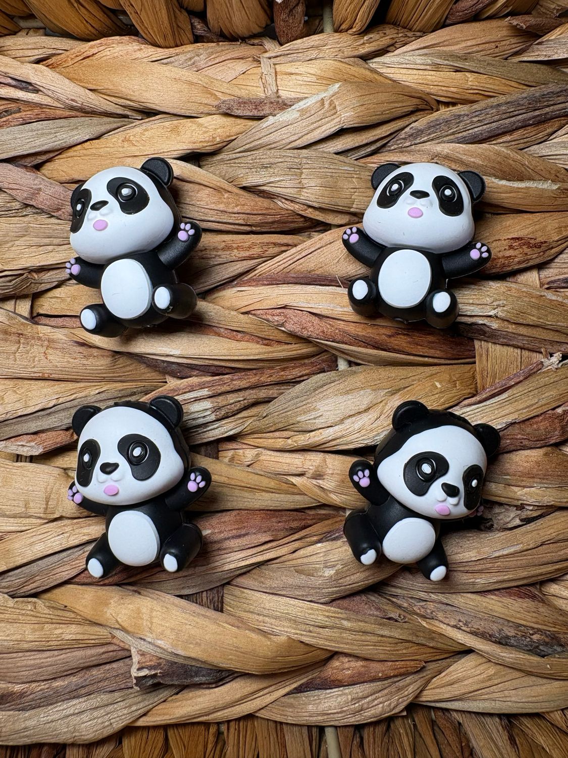 3d Panda Focal