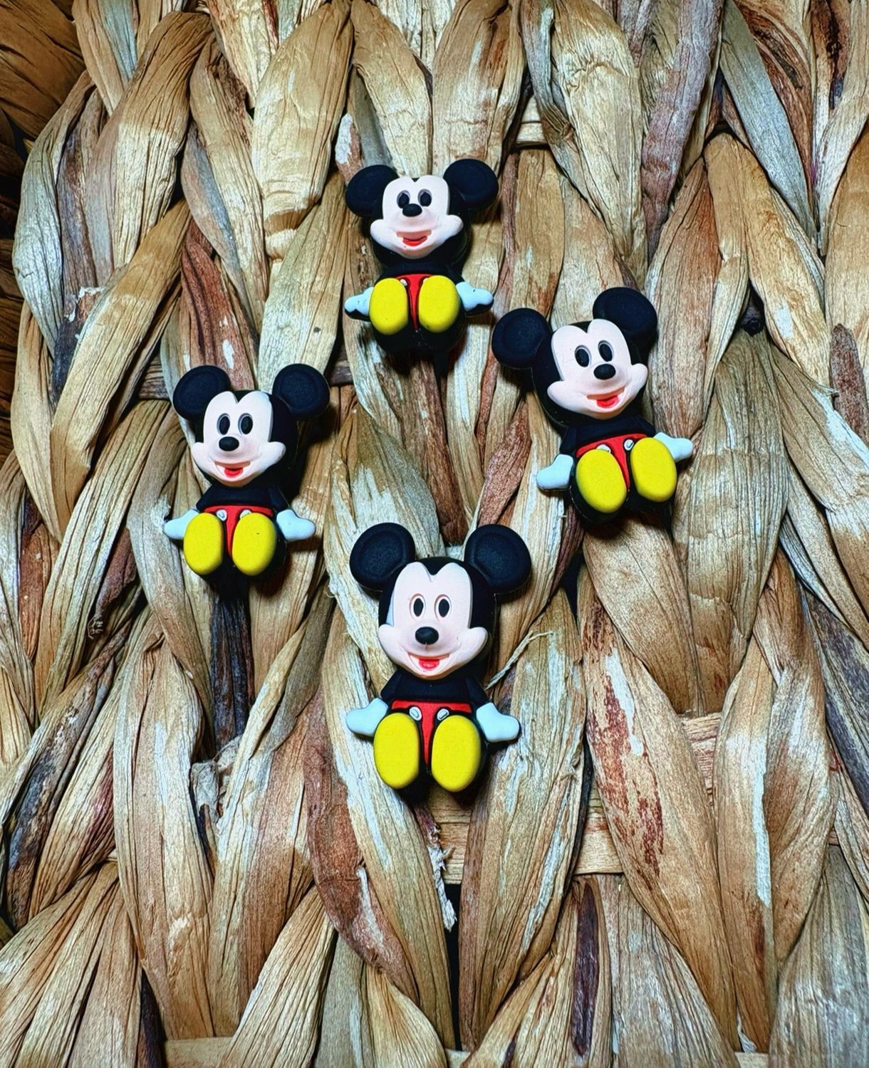 Mickey 3D Focal