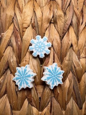 Snowflake 2d Focal