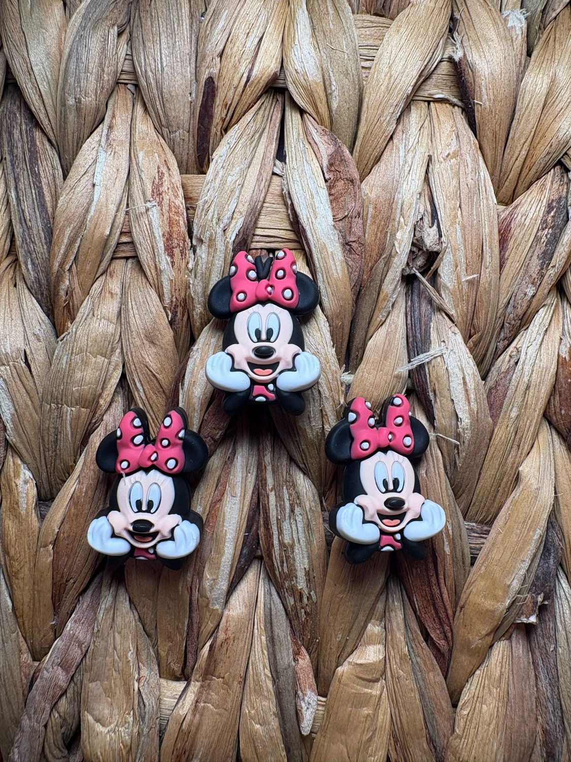 Minnie Head 3d Focal