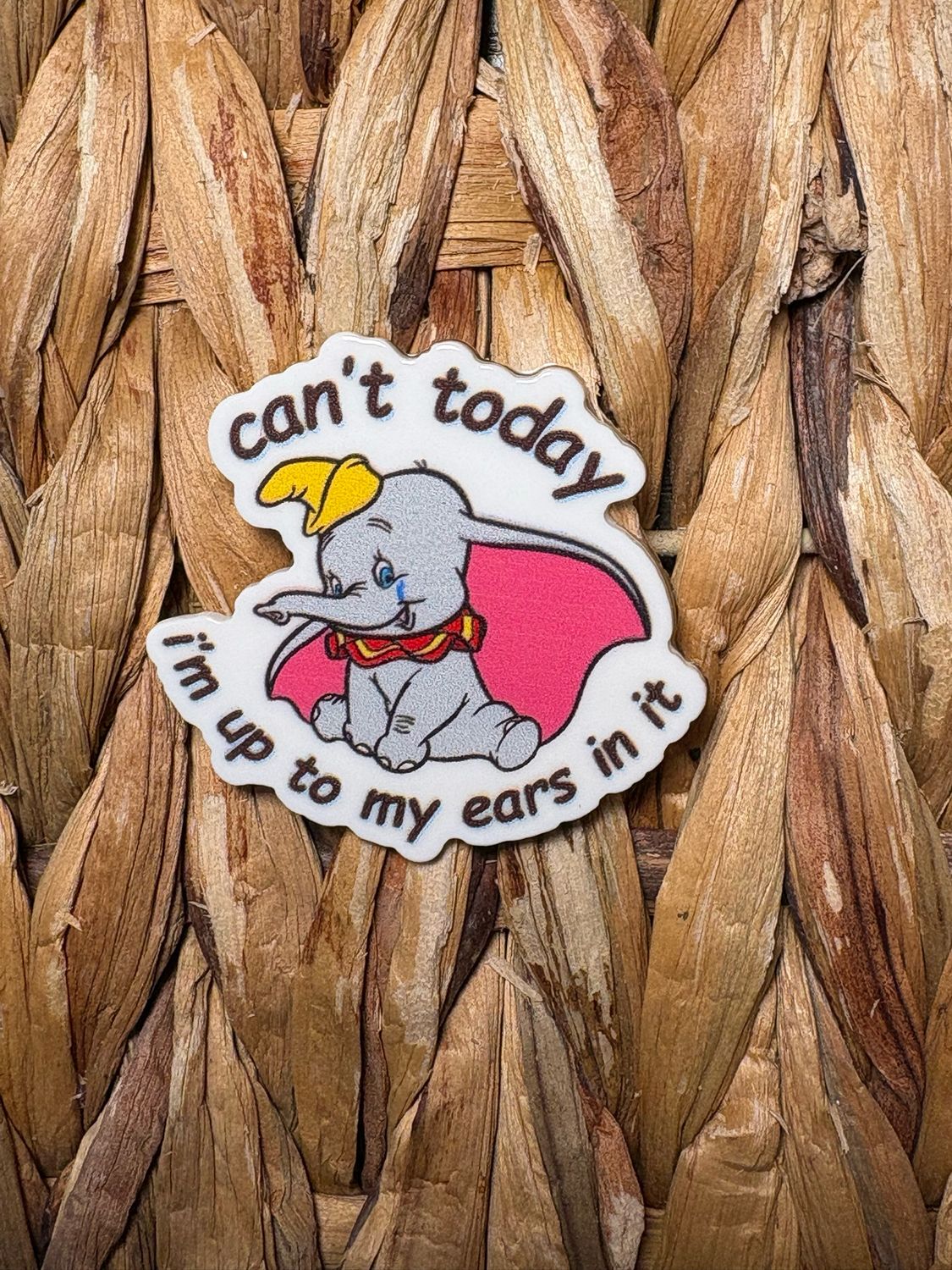 Can’t Today Acrylic