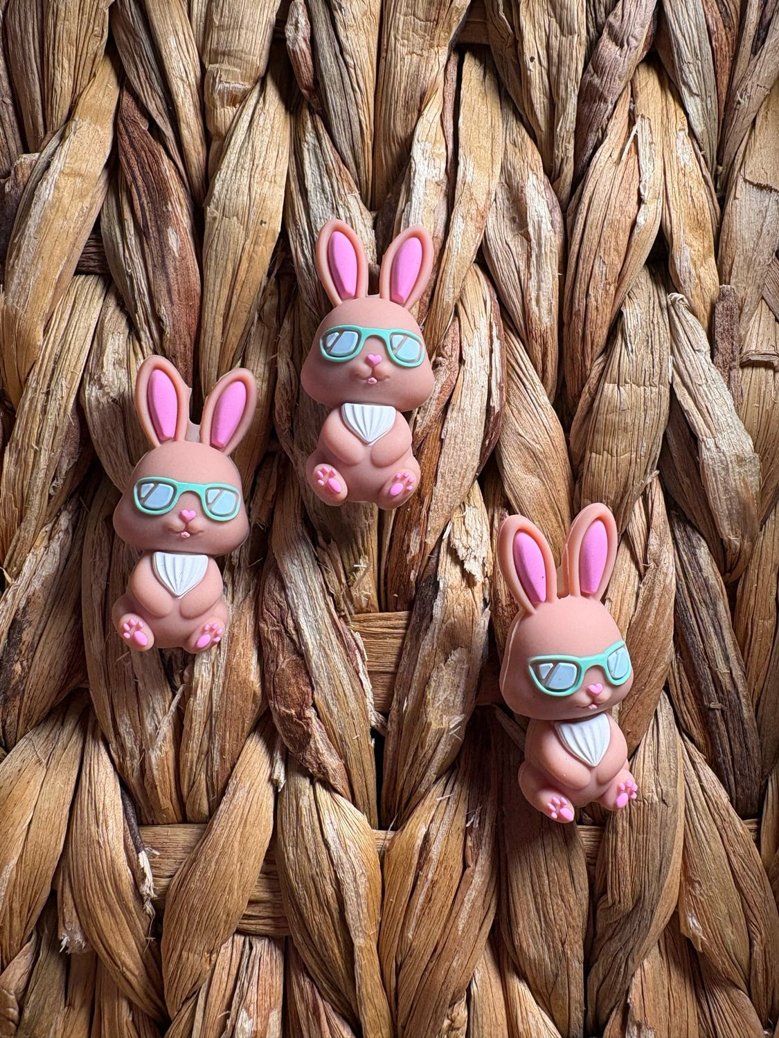 Bunny with Glasses 3d Focal