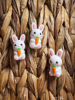 Bunny with Carrott 3d Focal