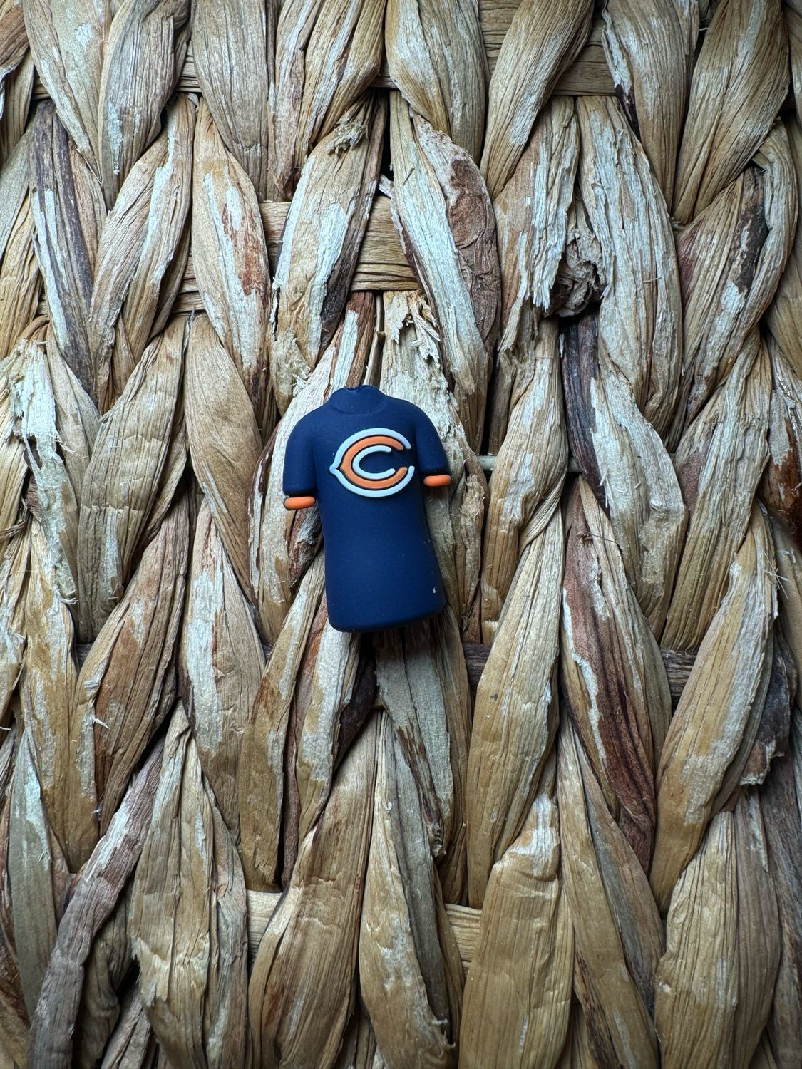 Bears Football Jersey Focal