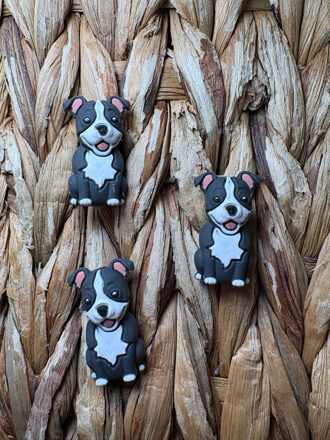 Gray &amp; White Dog 3d Focal