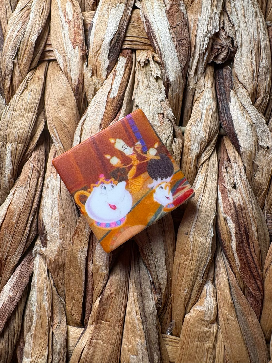 Beauty &amp; Beast Characters Printed Focal