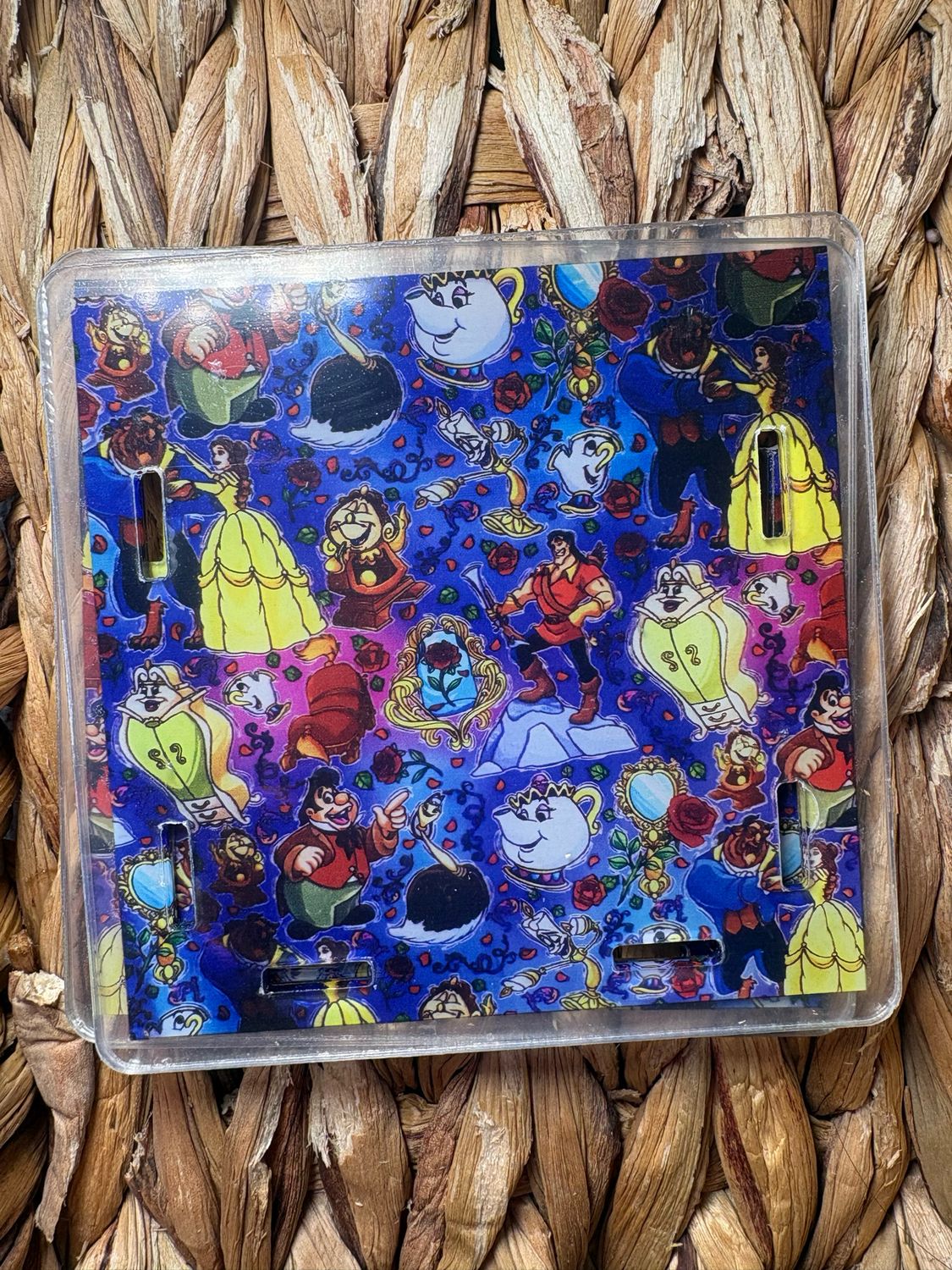 Beauty &amp; Beast Pen Box