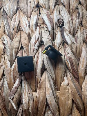 Graduation Cap 3d Focal