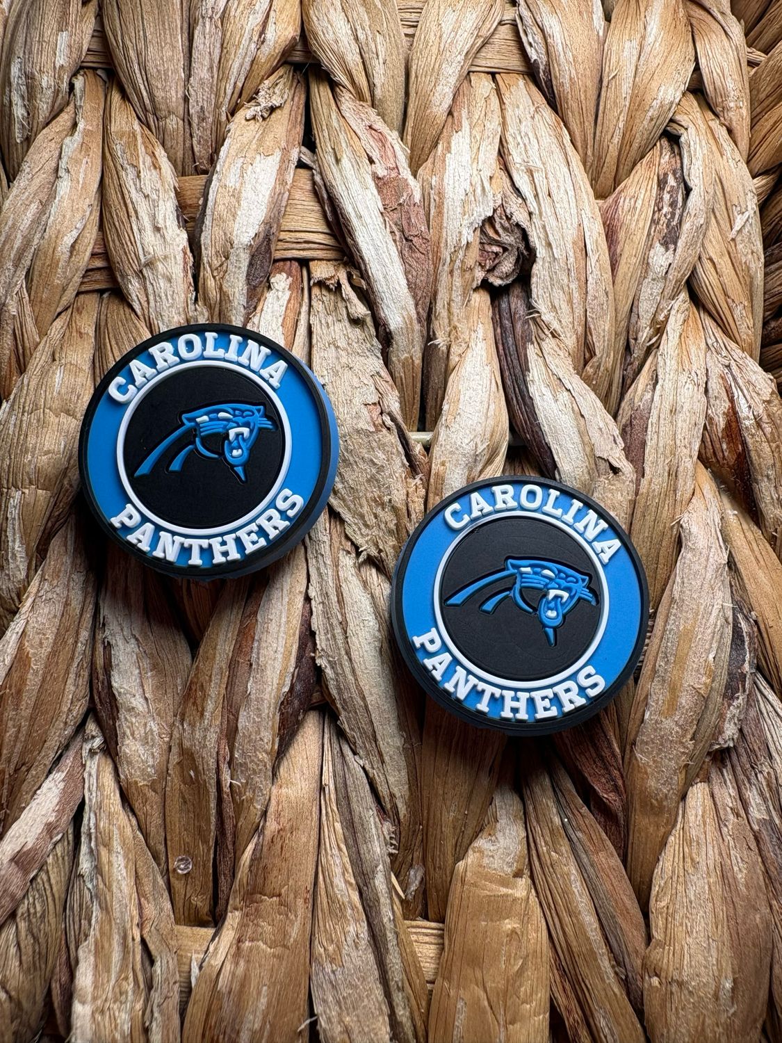 Panthers Circle 2d Focal