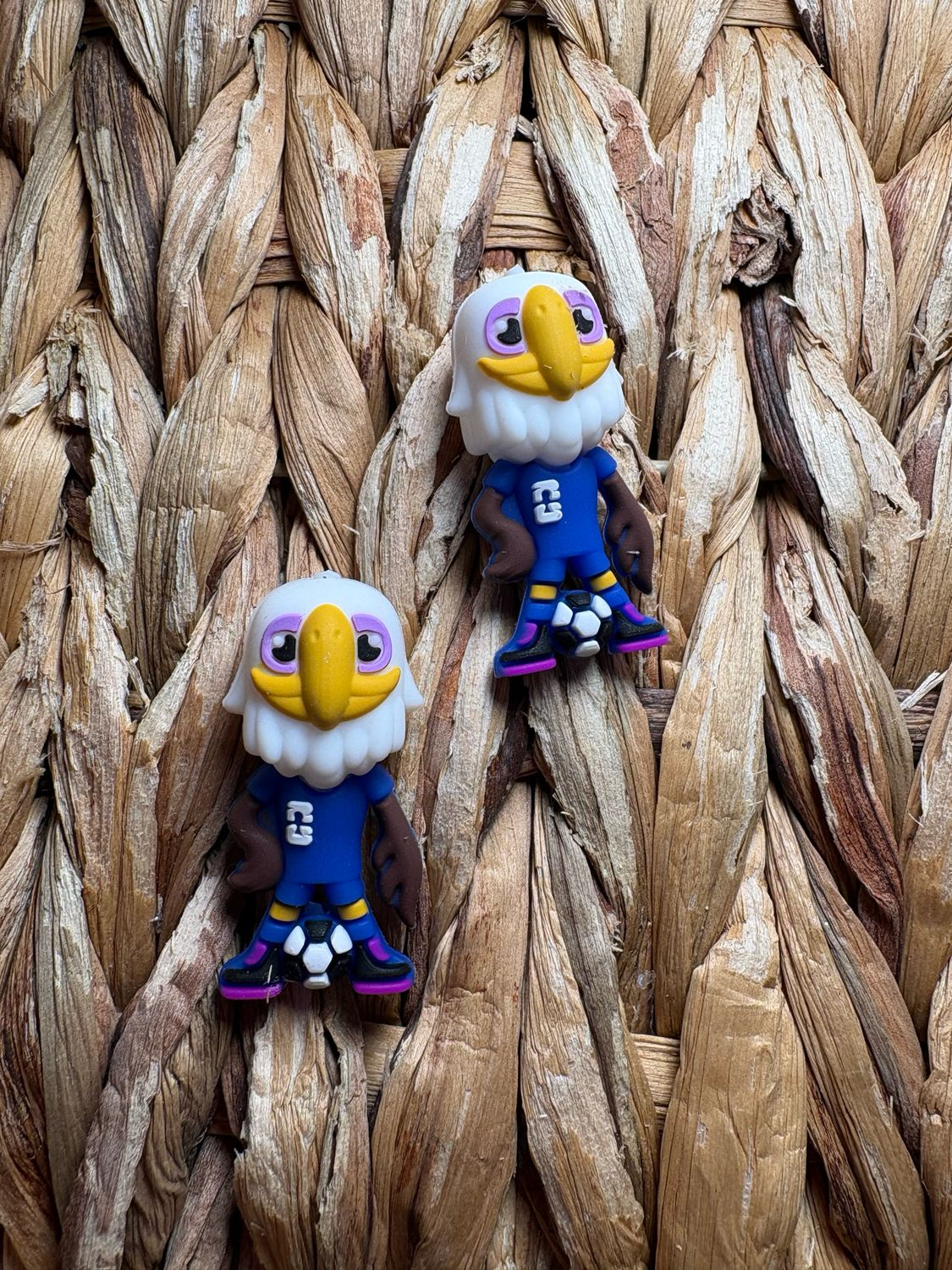 Soccer Bird 3d Focal