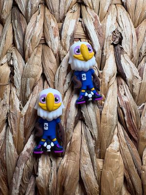 Soccer Bird 3d Focal