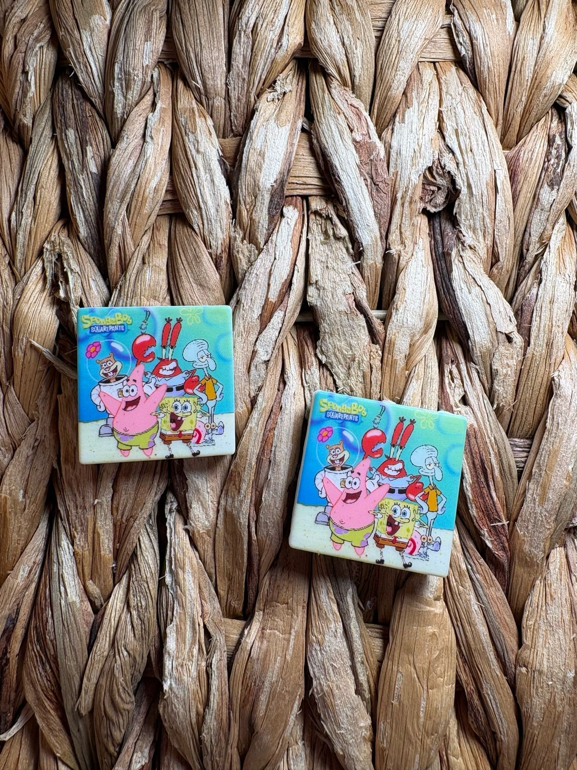 Sponge &amp; Friends Printed 2d Focal