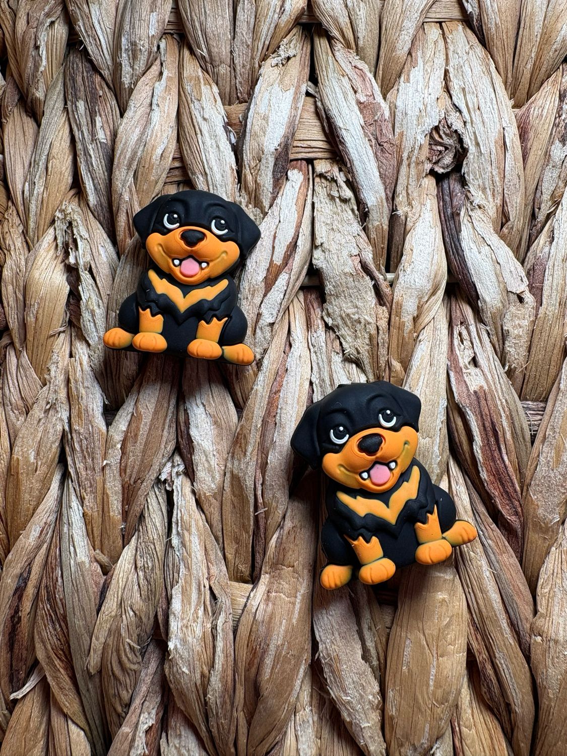 Black &amp; Orange Dog 3d Focal 