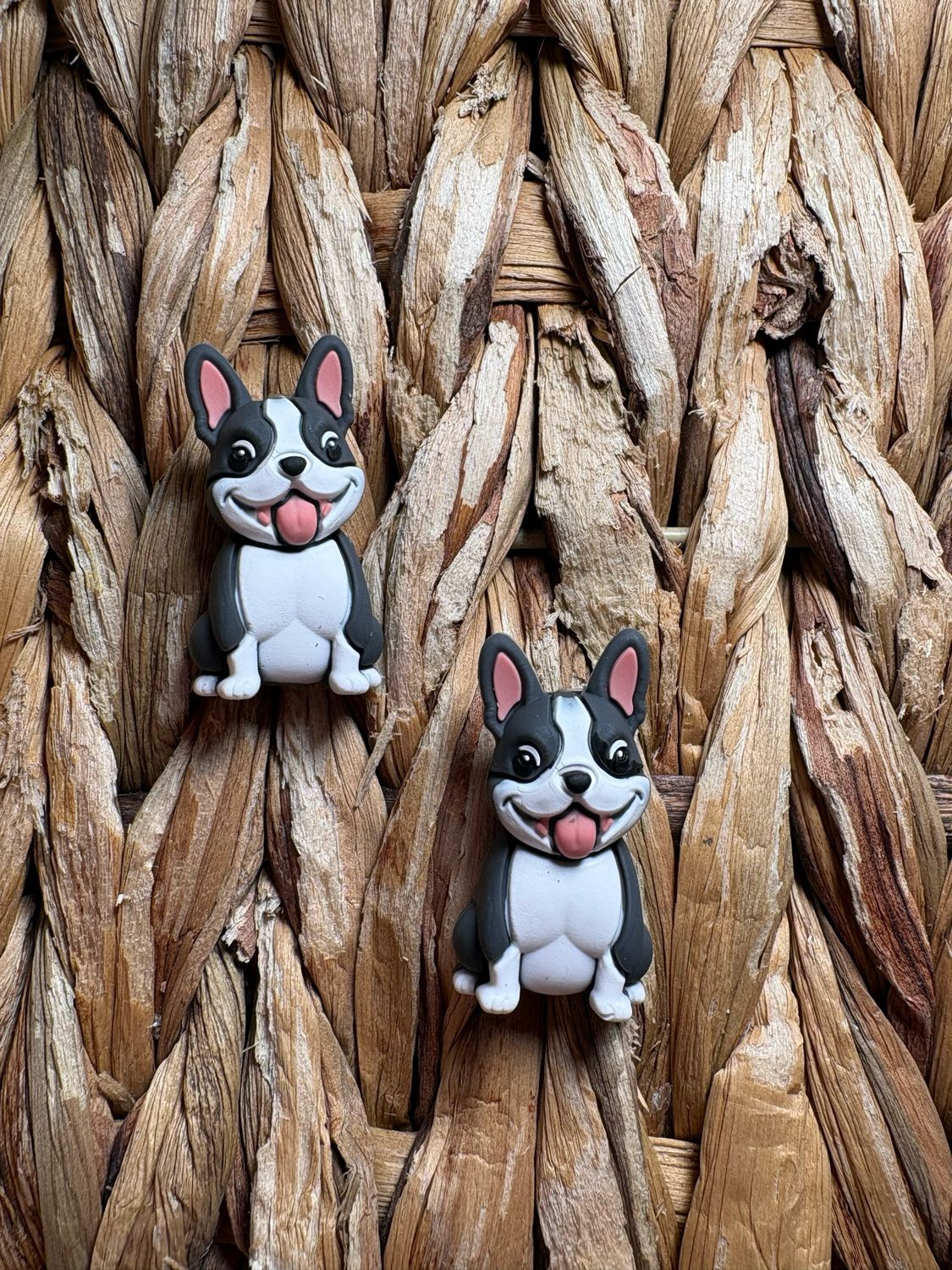 Gray &amp; White Dog 2 3d Focal 