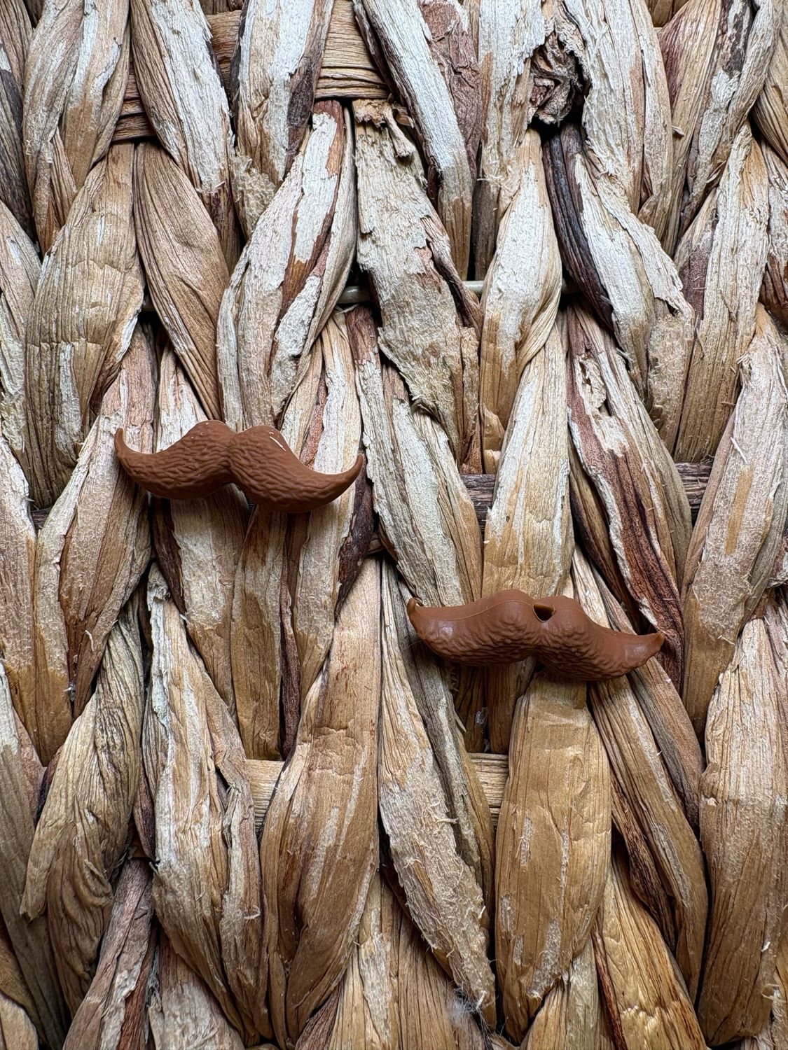 Brown Mustache 3d Focal