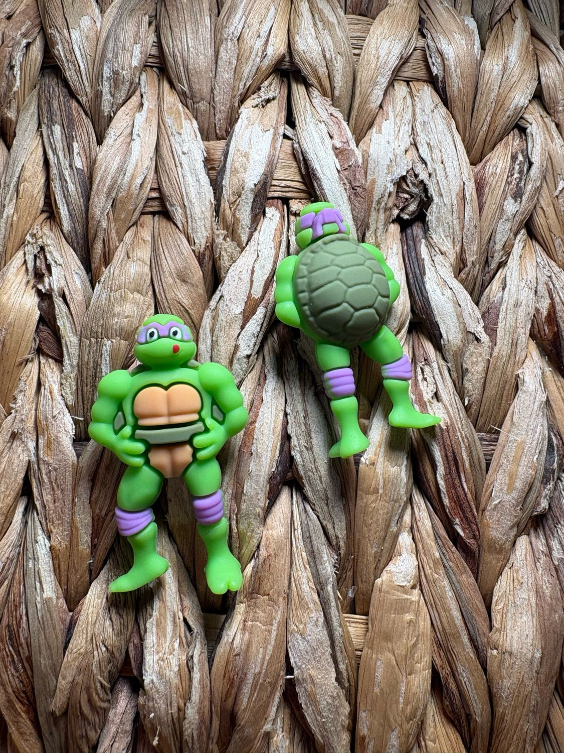 Purple Turtle 3d Focal