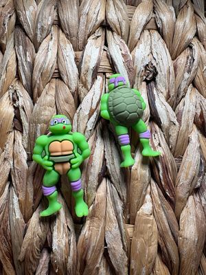 Purple Turtle 3d Focal