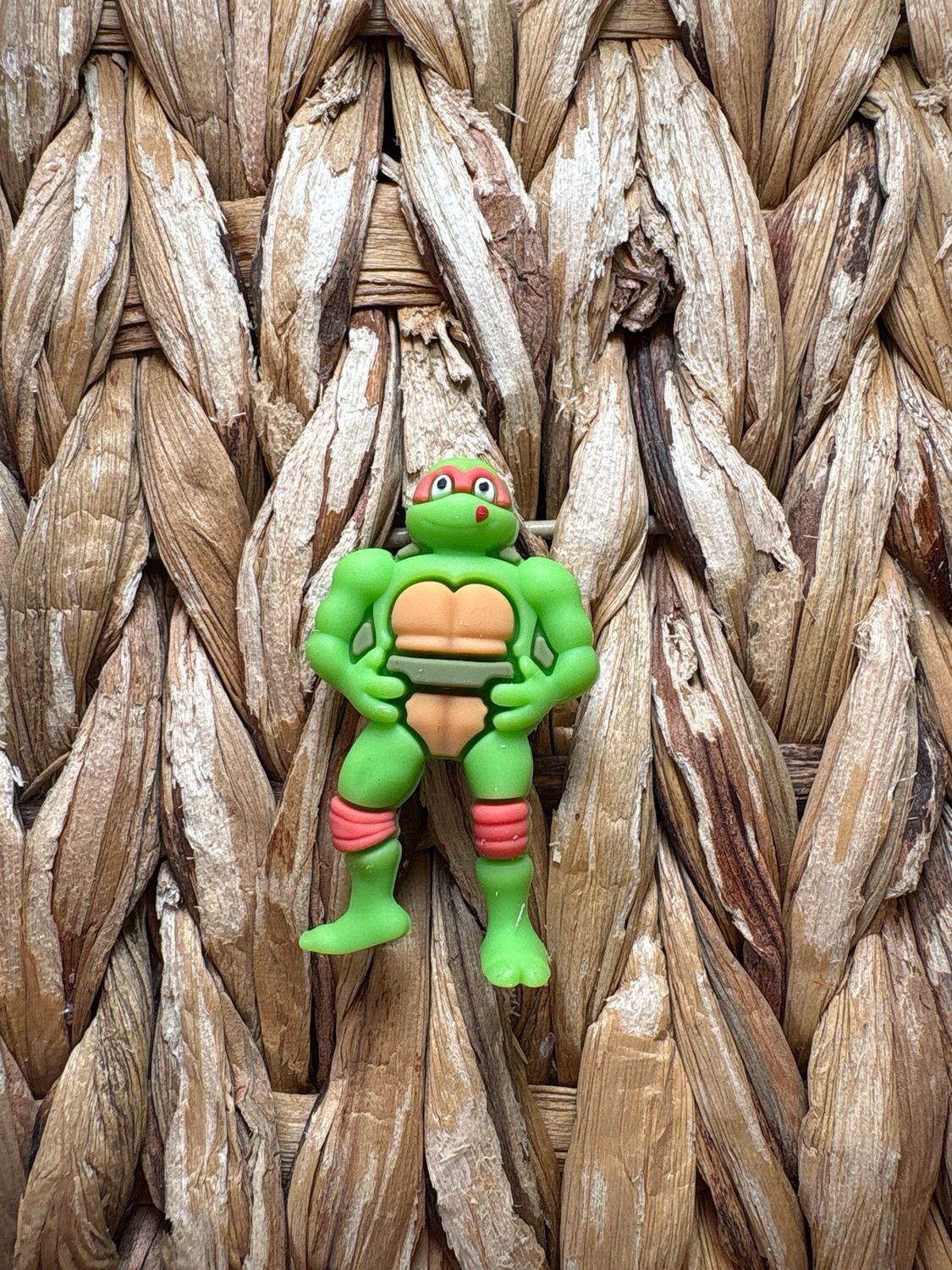 Orange Turtle 3d Focal