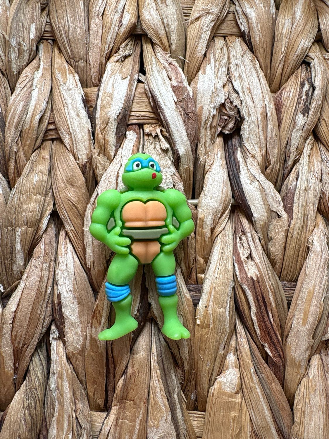 Blue Turtle 3d Focal