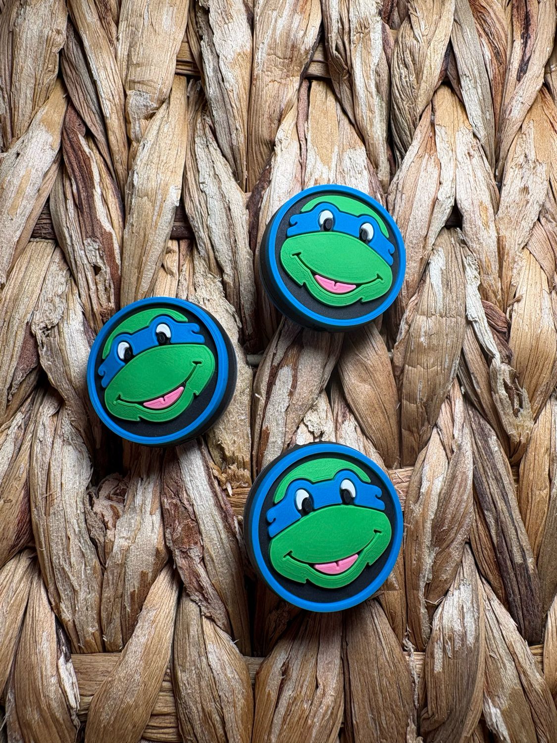 Blue Turtle Circle 2D Focal