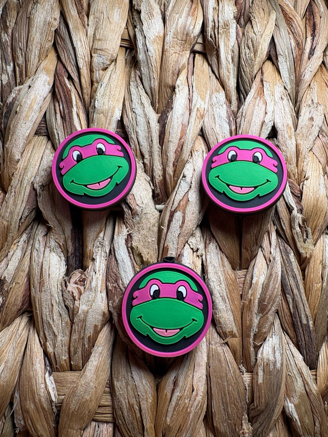 Pink Turtle Circle 2D Focal