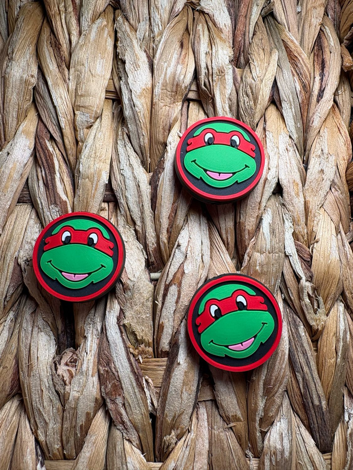 Red Turtle Circle 2D Focal