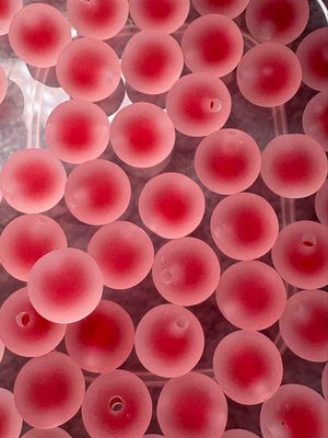 Bulk Bead Bag #DL9 16mm Frosted Double Layer